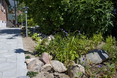 Parcelhushave med faskine under trampolin og regnbed (Bagsværd 2) - Om